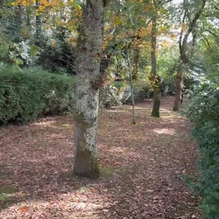 Casa Pepe Albela - 20 Min De Santiago * Santiago de Compostela