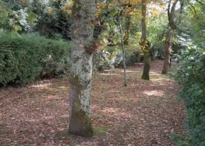 Casa Pepe Albela - 20 Min De Santiago * Santiago de Compostela